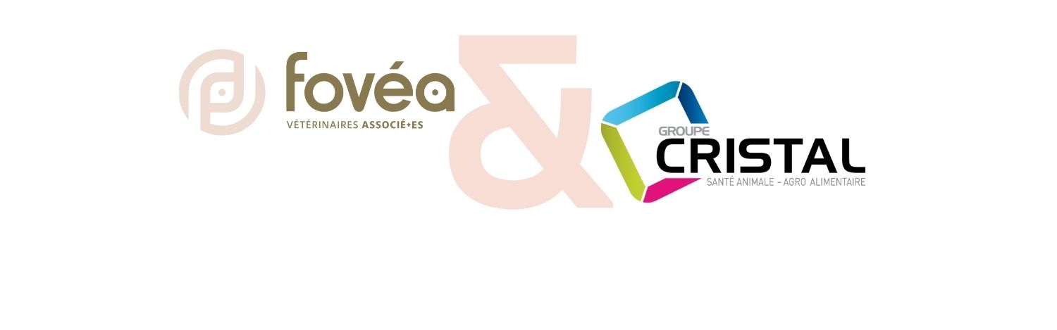 fovea-cristal