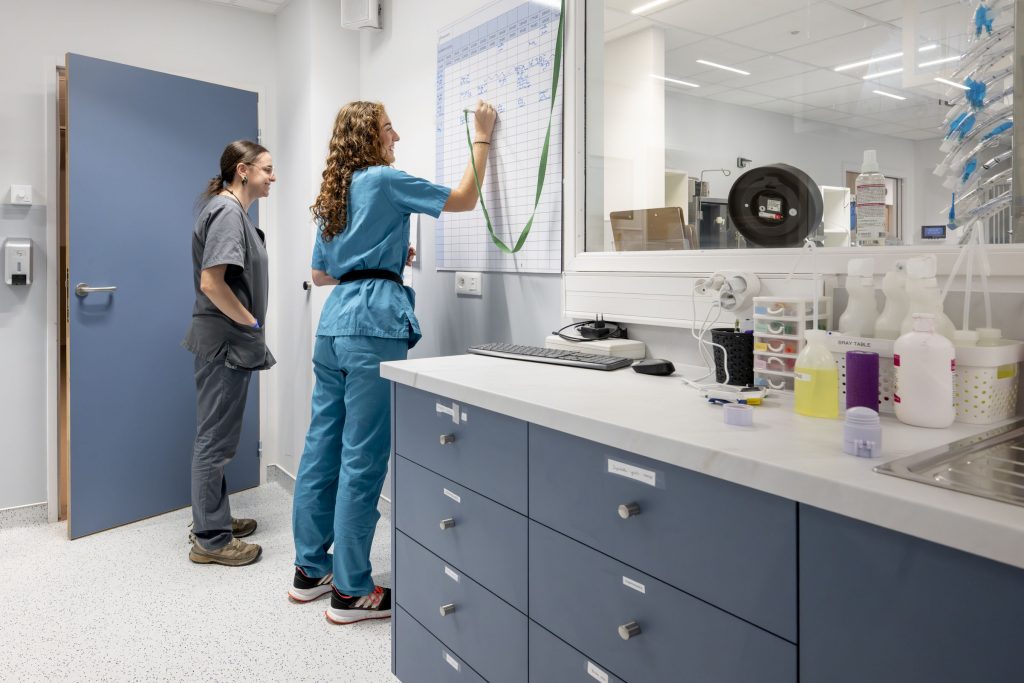 Suivi vétérinaire Bordeaux Sud