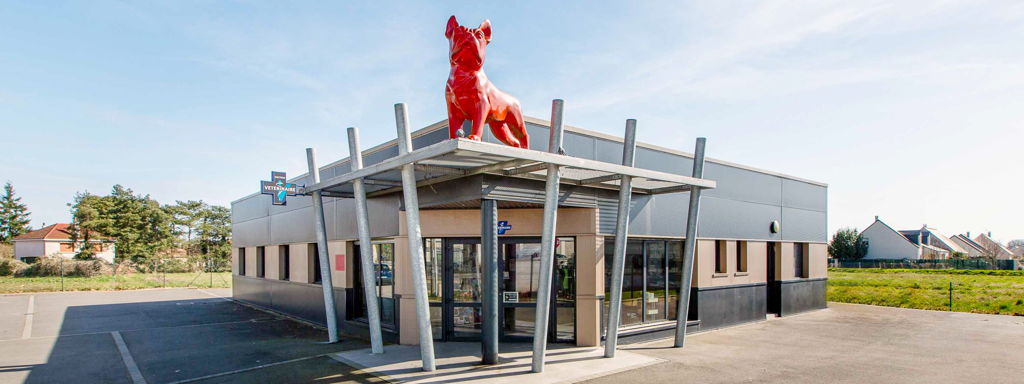 Chien Rouge_BANDEAU.1