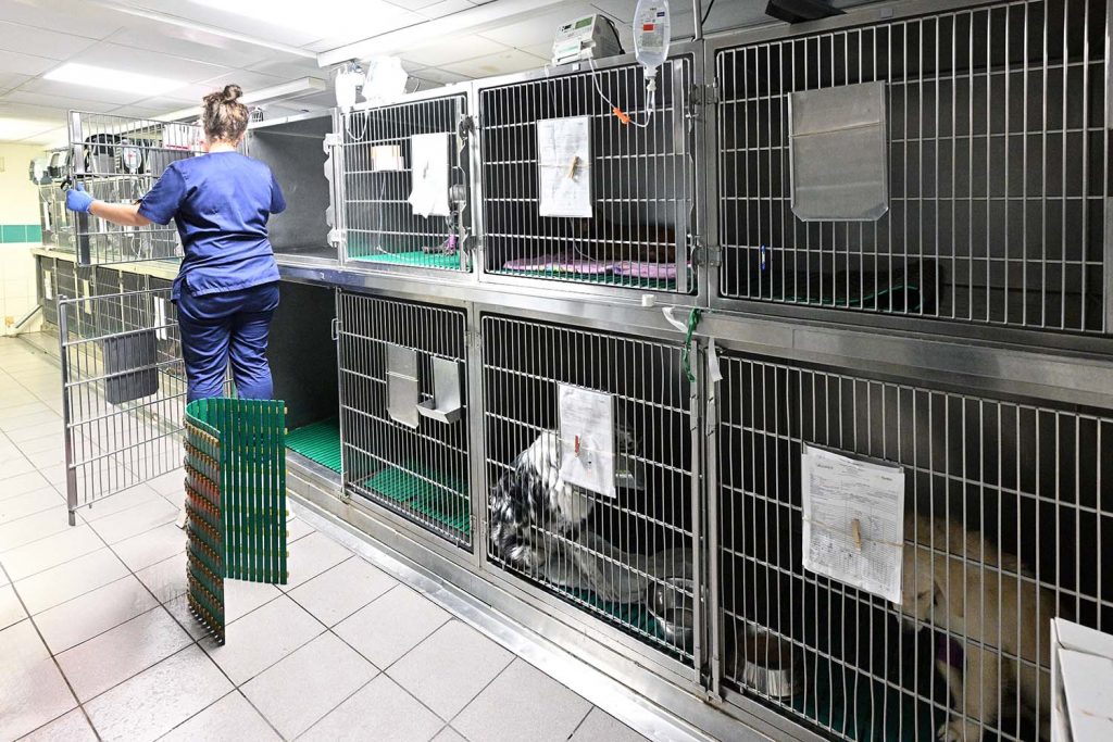 Hospitalisation clinique Alliance