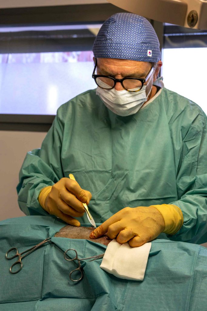 Chirurgie clinique Animarhea