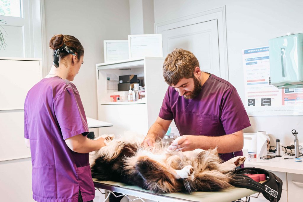 Consultation générale clinique Beaune à Chissay en Touraine