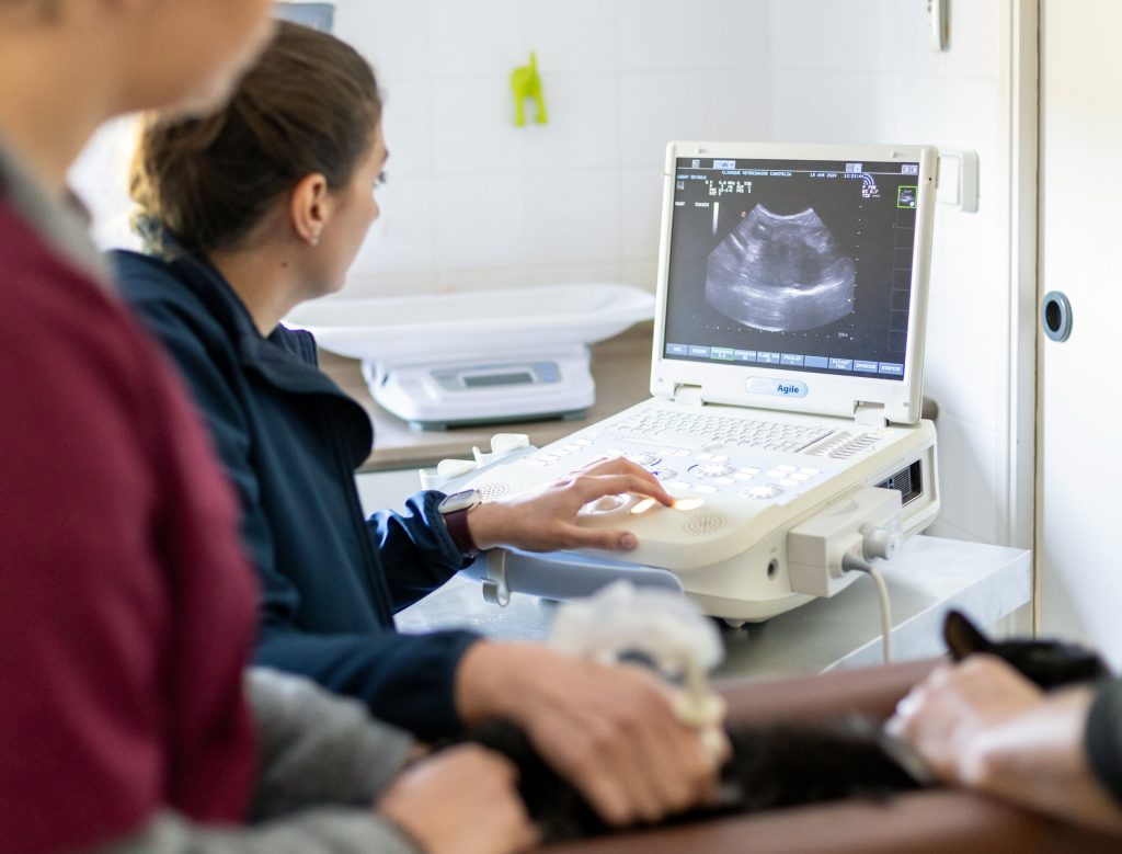 Imagerie clinique Canifelia