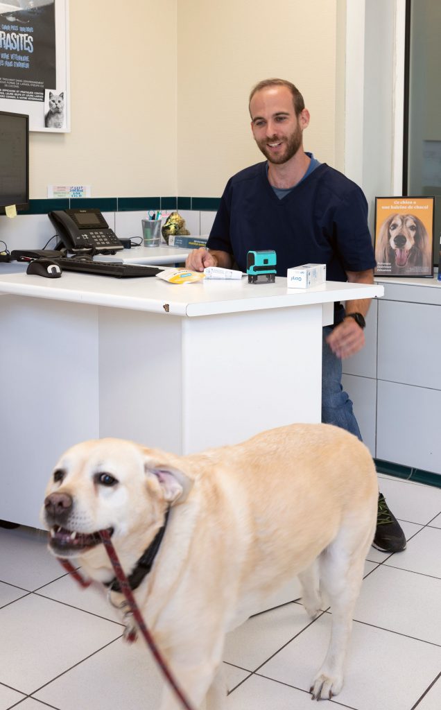 Consultation chien clinique CastelnauVet'