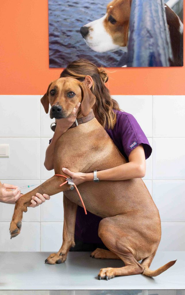 Consultation générale clinique Cœur de Garches