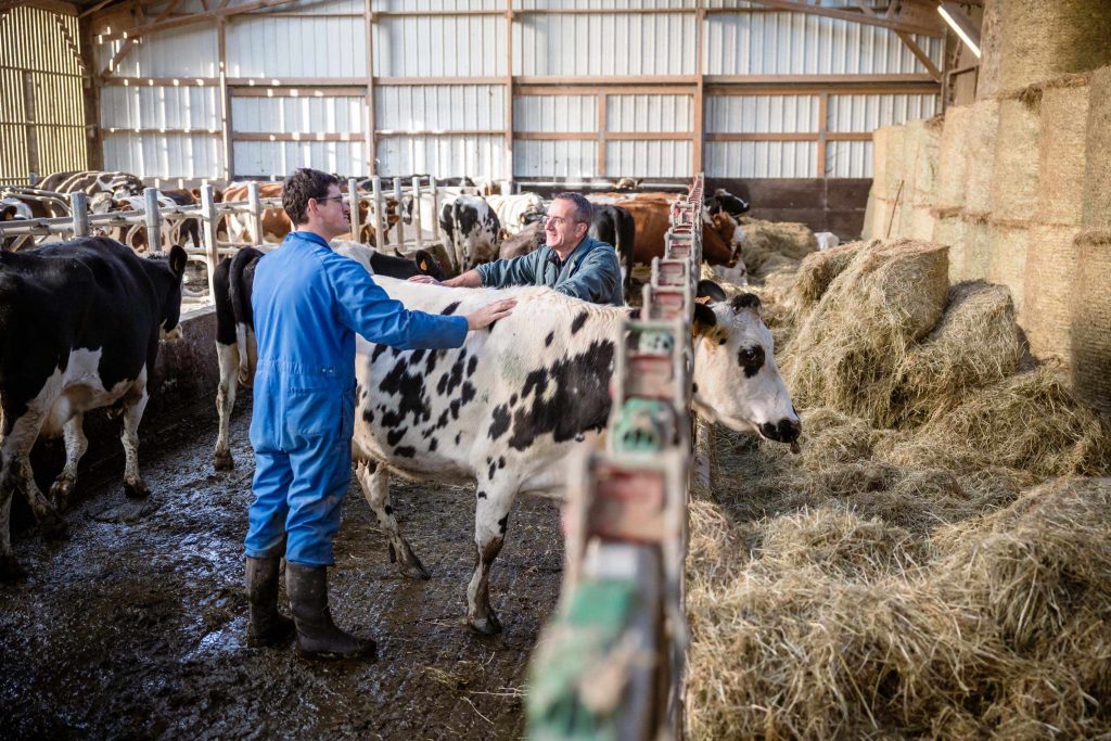 Consultation rurale clinique de Corlay