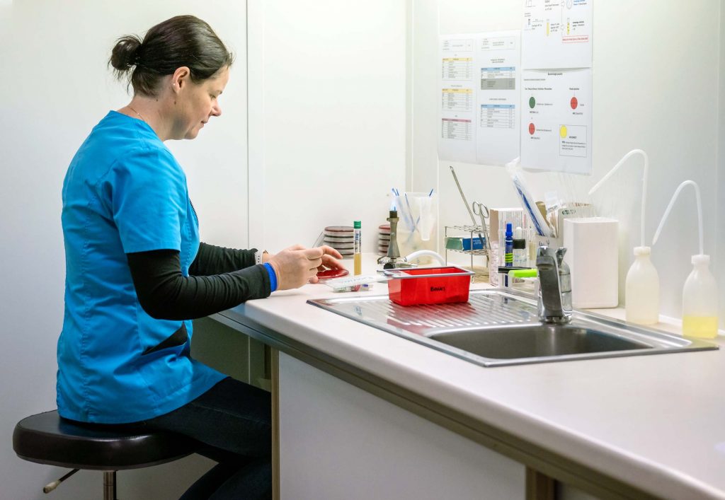 Biochimie vétérinaire clinique de Corlay