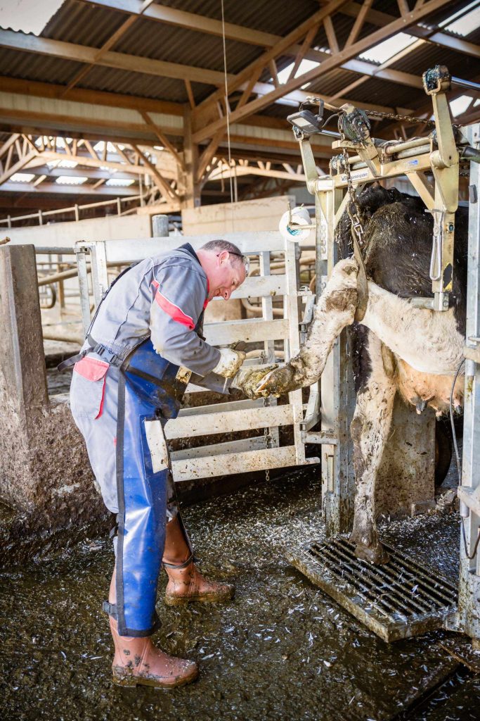 Parage clinique de Corlay