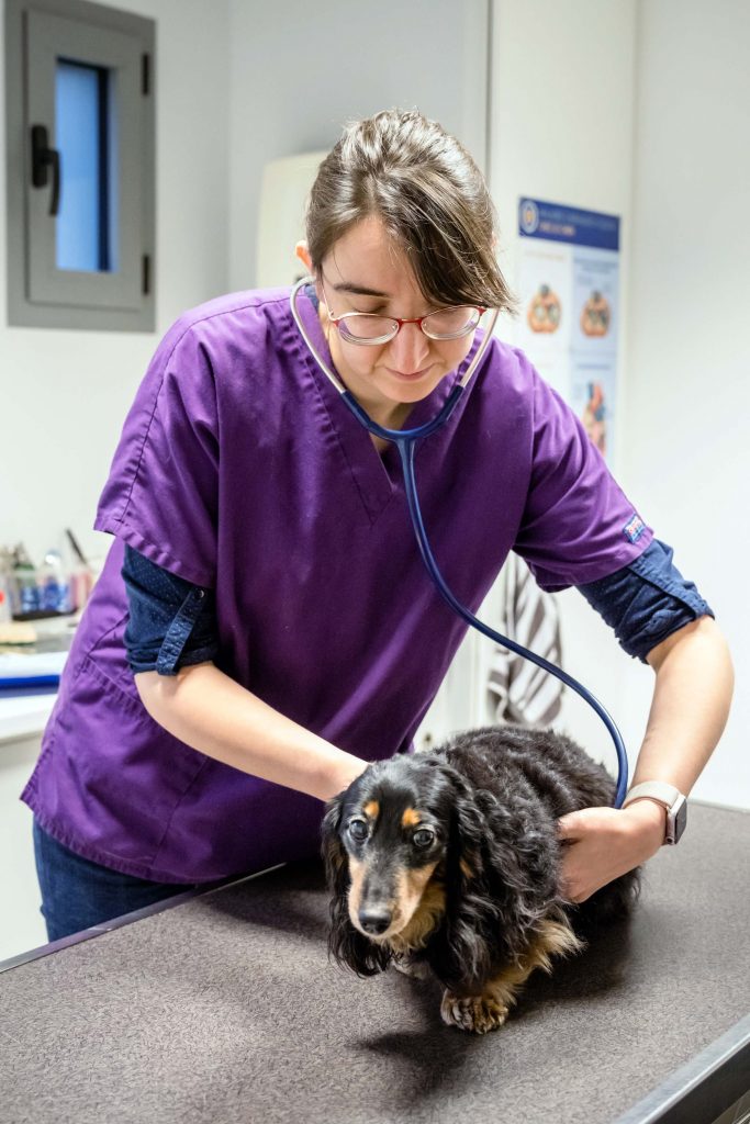 Consultation générale clinique de Guerlédan