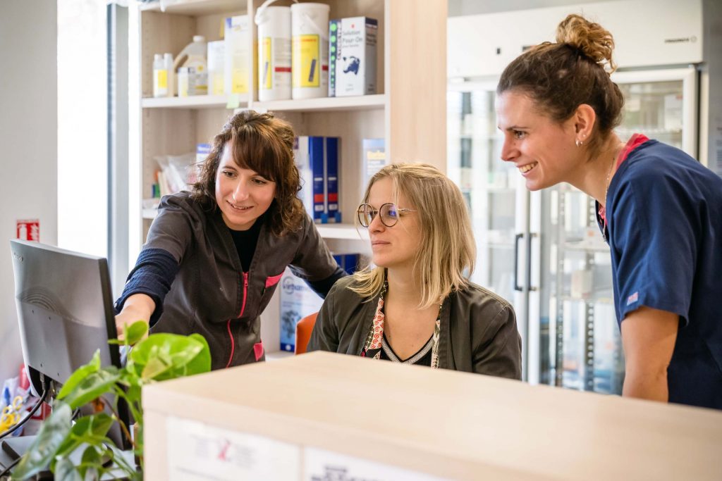 Accueil clinique de Guerlédan