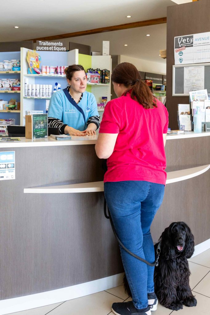 Accueil clinique vétérinaire des Alouettes Le May