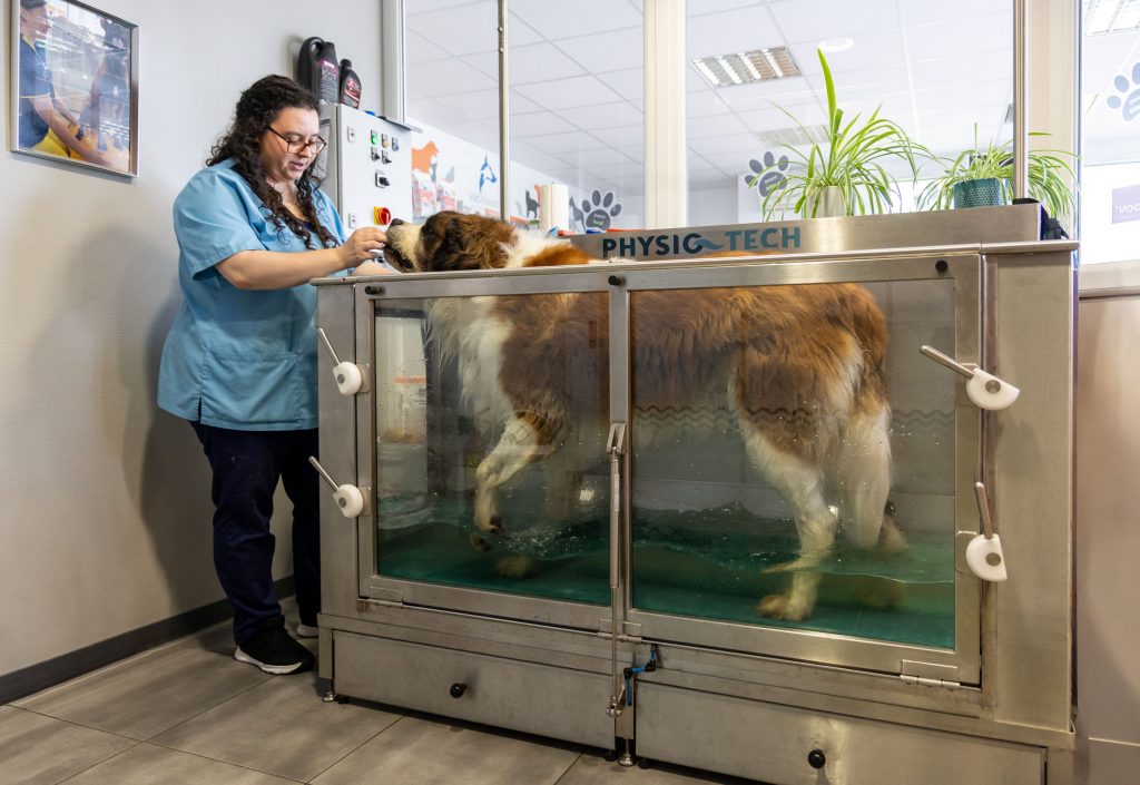 Physiothérapie clinique vétérinaire des Alouettes Les Herbiers