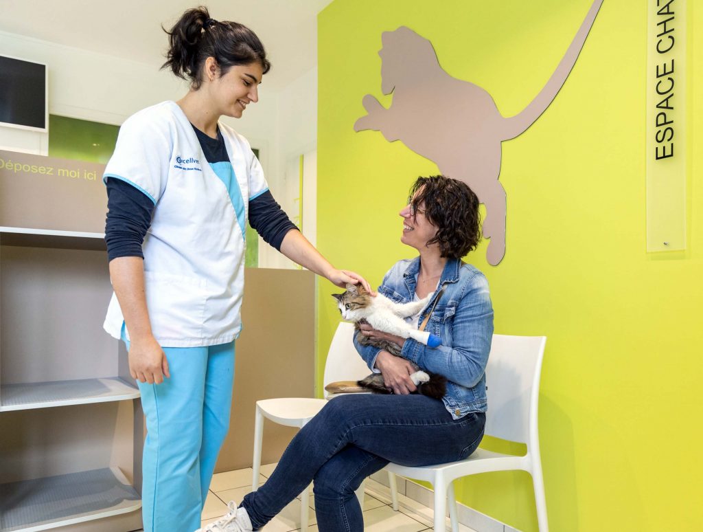 Salle d'attente clinique vétérinaire des Deux Rivières