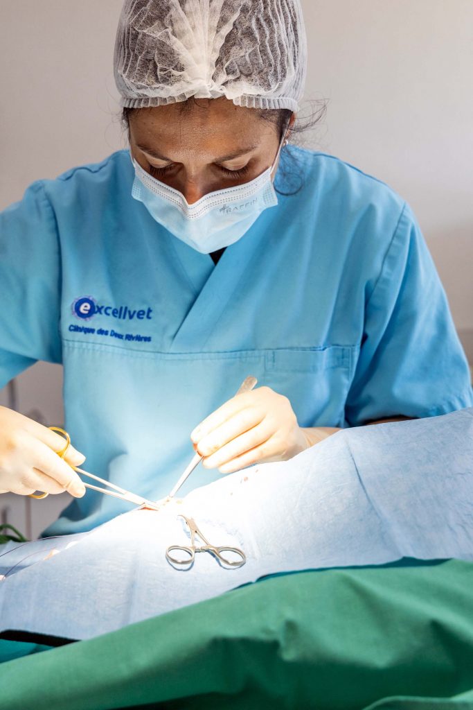 Chirurgie clinique vétérinaire des Deux Rivières