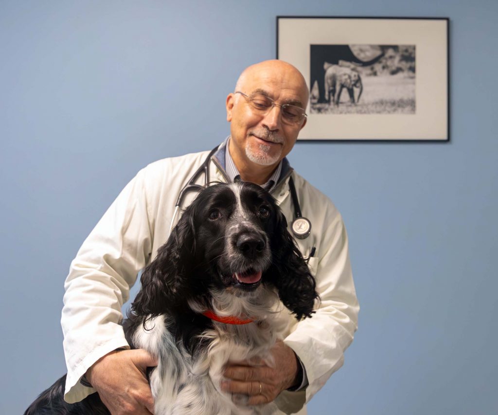 Consultation générale clinique vétérinaire du Lac