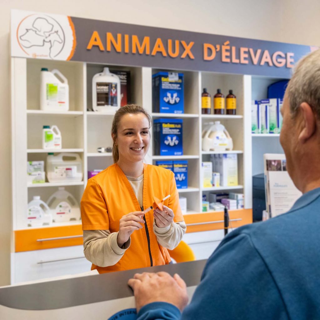 Accueil clinique vétérinaire Léonard de Vinci, St Pierre Montlimart