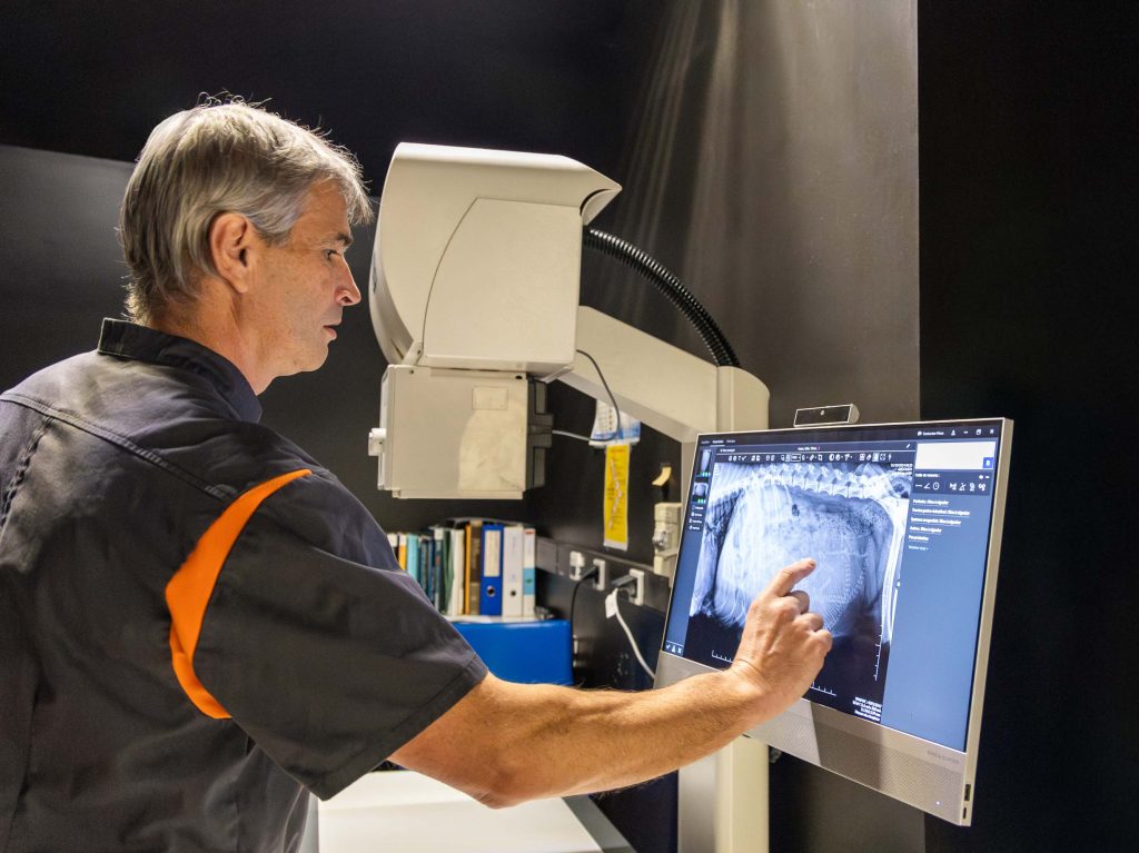 Imagerie médicale clinique vétérinaire Léonard de Vinci, St Pierre Montlimart