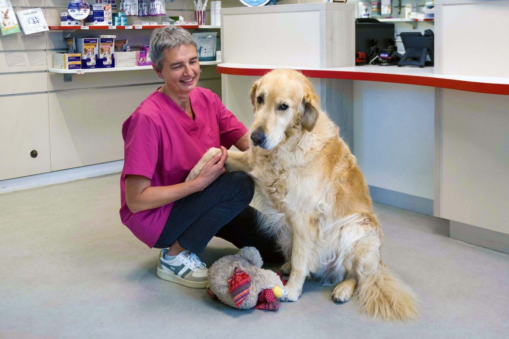 Accueil clinique vétérinaire du Parc de Moine