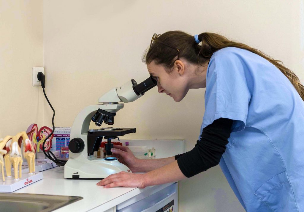 Analyse laboratoire clinique vétérinaire du Parc de Moine