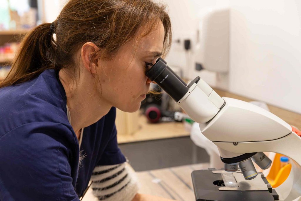 Analyse laboratoire clinique vétérinaire des Perrières