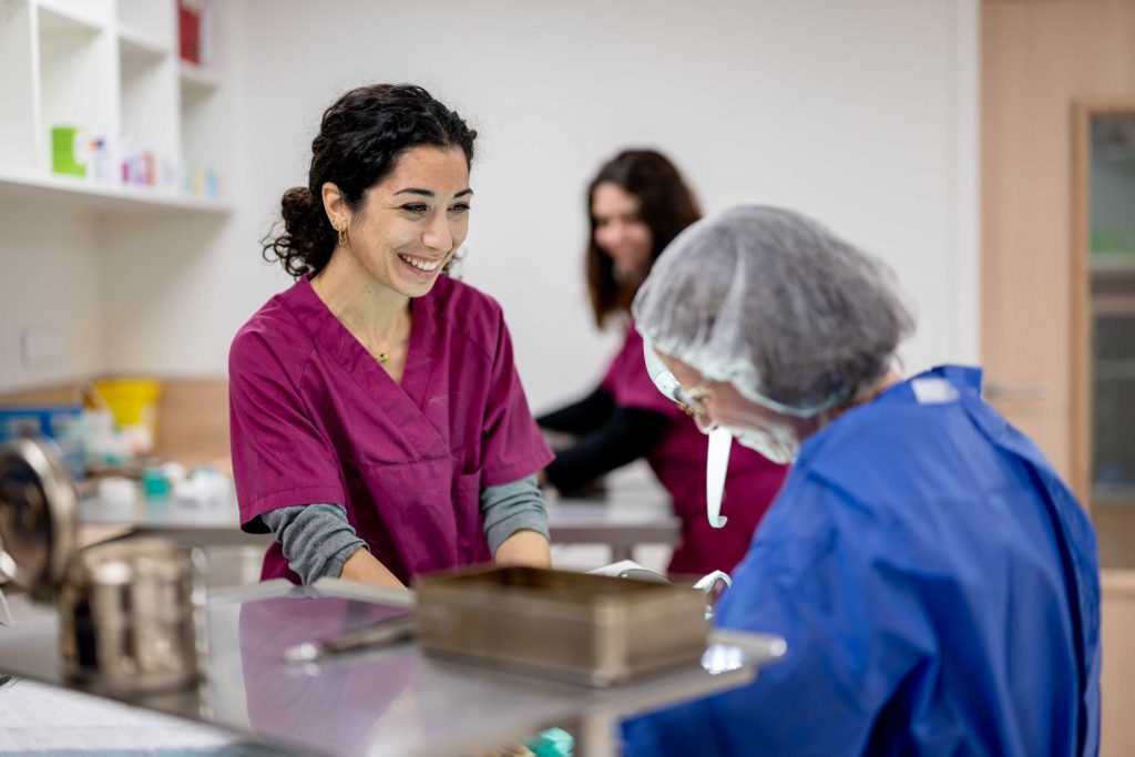 Détartrage clinique vétérinaire R'Vet