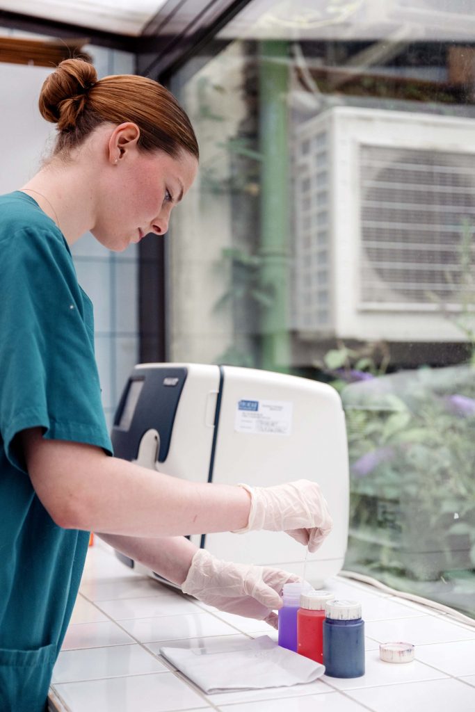 Analyse laboratoire clinique vétérinaire Saint Bernard