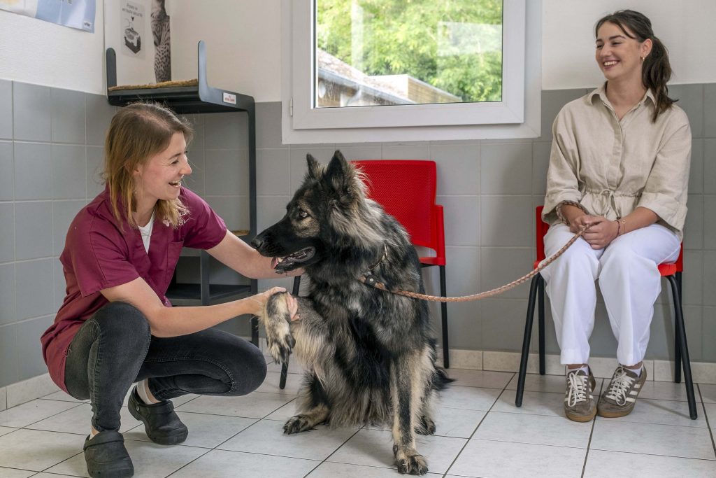 Salle d'attente clinique vétérinaire des Tilleuls