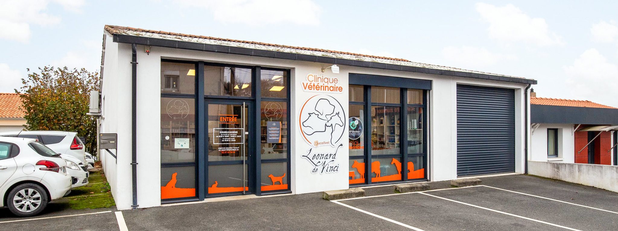 Leonard-de-Vinci SPM