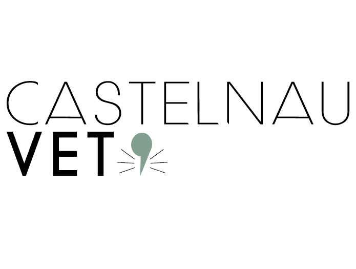 Clinique vétérinaire CastelnauVet’