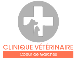 Clinique vétérinaire Cœur de Garches