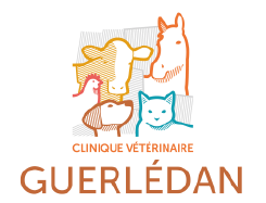 Clinique vétérinaire de Guerlédan