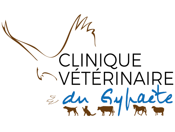 Clinique vétérinaire du Gypaète