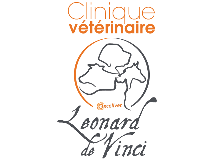 Clinique vétérinaire Léonard de Vinci St Pierre Montlimart