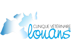 Clinique vétérinaire de Louans