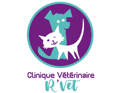 Clinique vétérinaire R’Vet