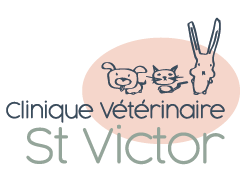 Clinique vétérinaire St Victor