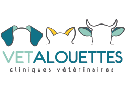Clinique vétérinaire des Alouettes – Cholet