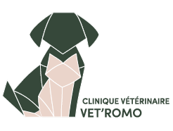 Clinique vétérinaire Vet’Romo