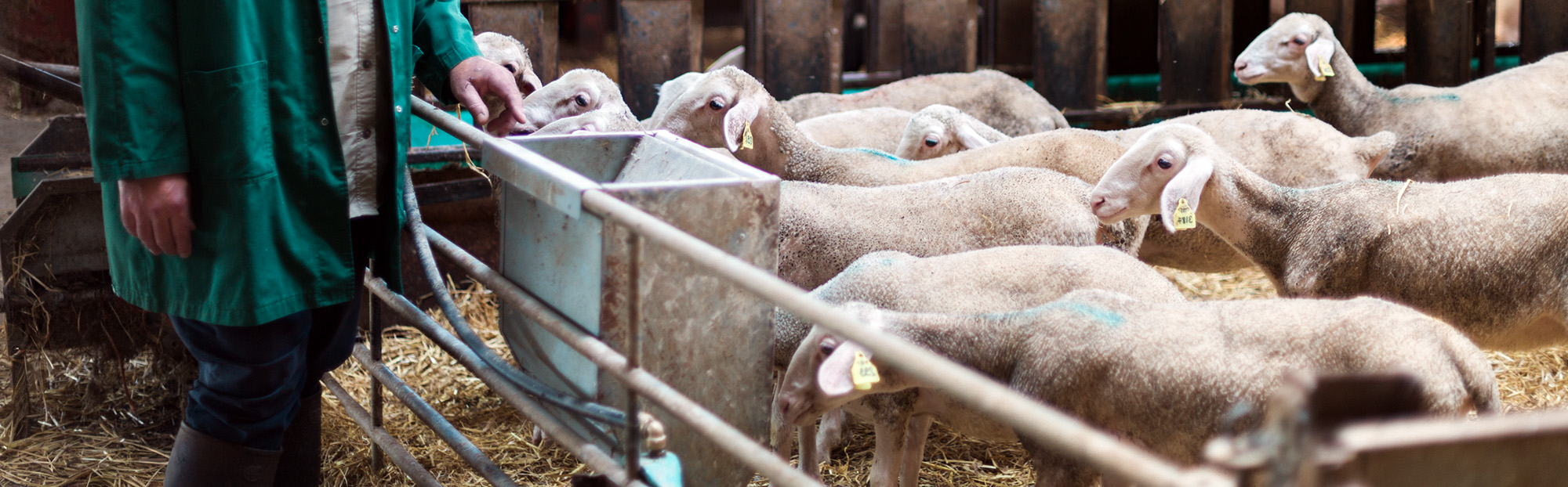 Médecine collective rurale