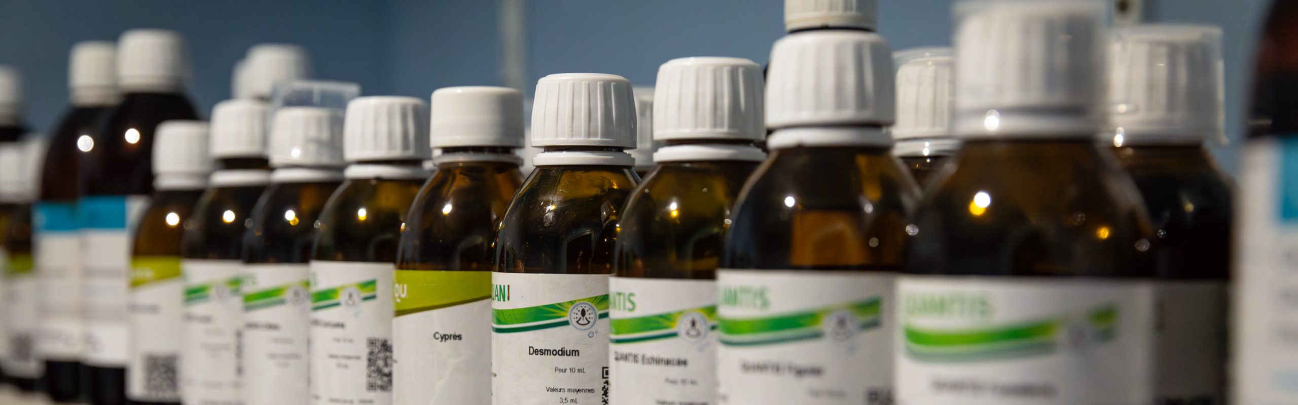 Phytothérapie vétérinaire