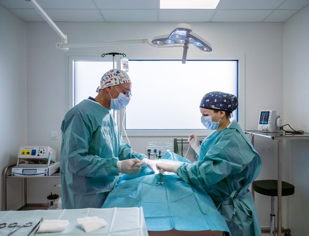 Chirurgie, clinique vétérinaire de Jugon