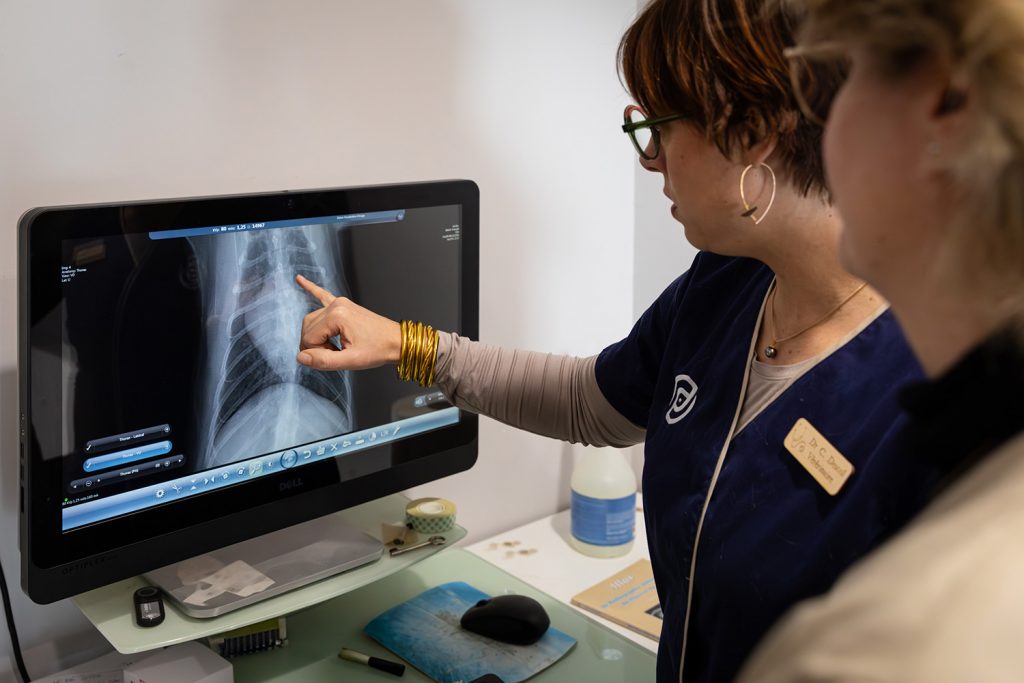 Imagerie médicale, clinique vétérinaire Saint Victor