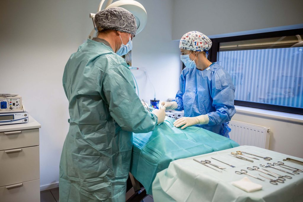 Chirurgie, clinique vétérinaire de Le Mené