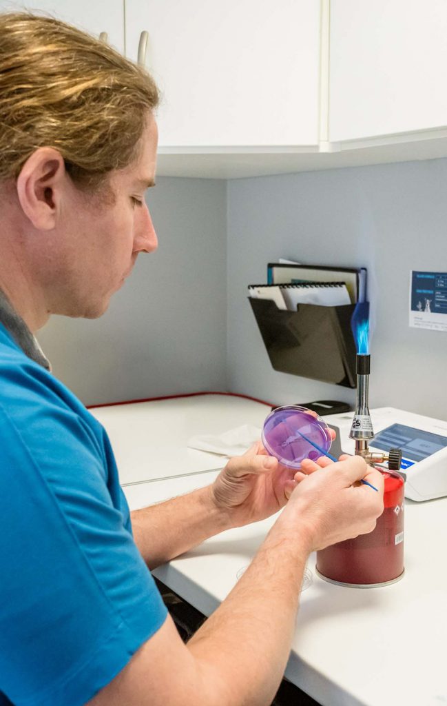 Laboratoire d'analyses, clinique vétérinaire de Le Mené