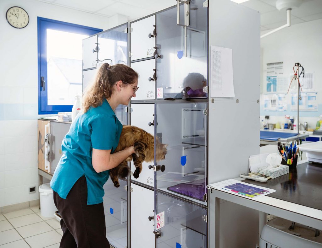 Hospitalisation clinique vétérinaire de Plancoët