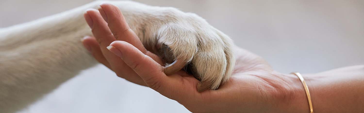 Accompagnement fin de vie