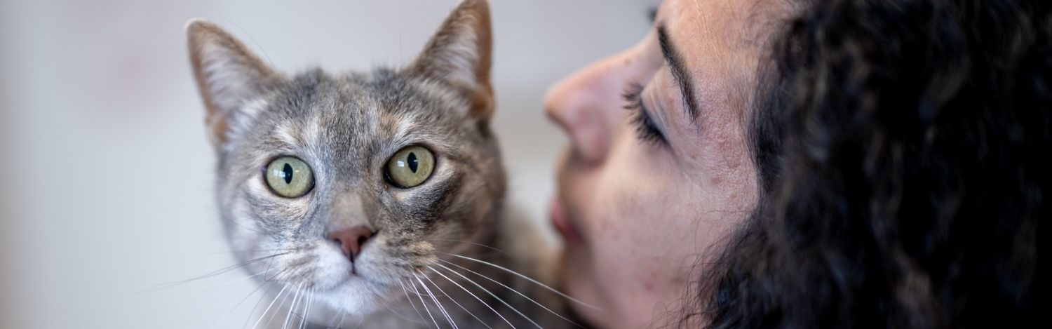 fovea-trophee-vet-nurse-day-2024