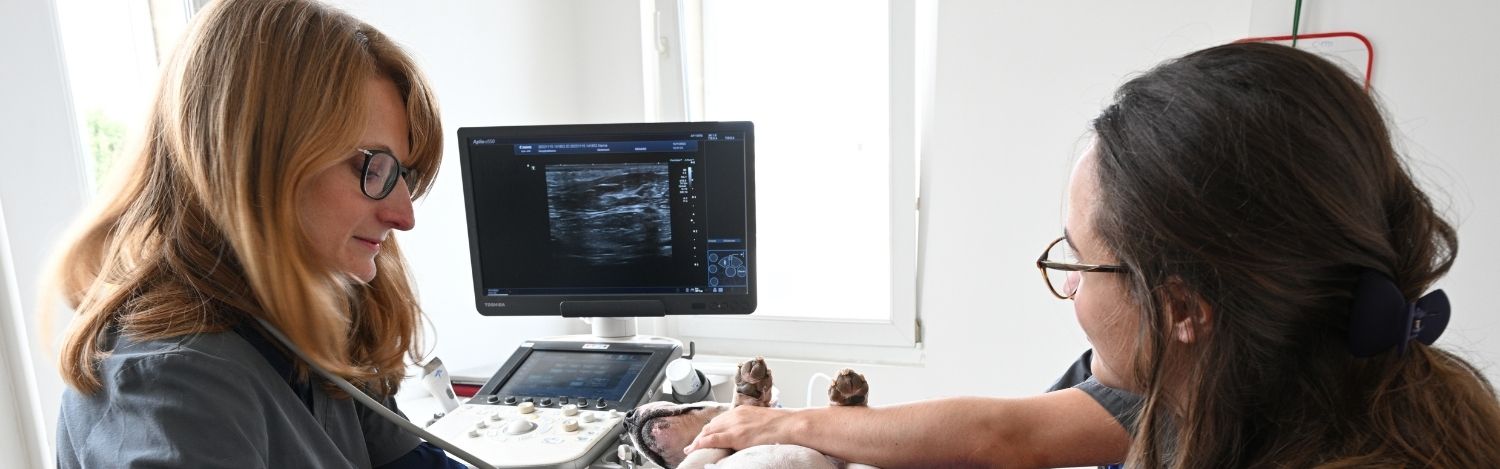 temoignage-anais-combes