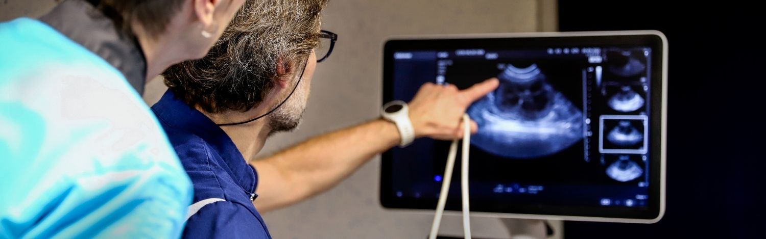 tendances-emergentes-medecine-veterinaire