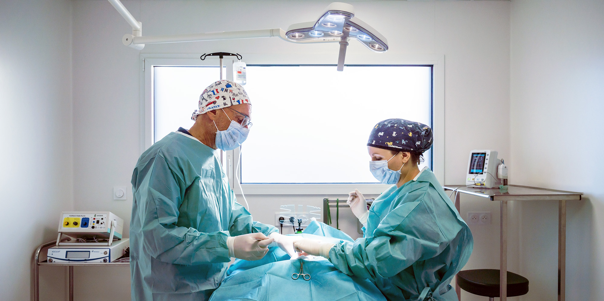 Des comités scientifiques pour une médecine vétérinaire d’excellence